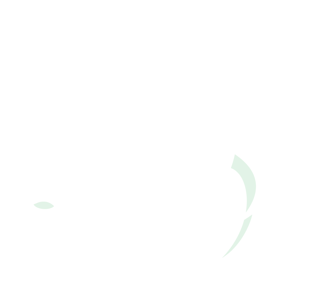 お知らせ背景デコレーション