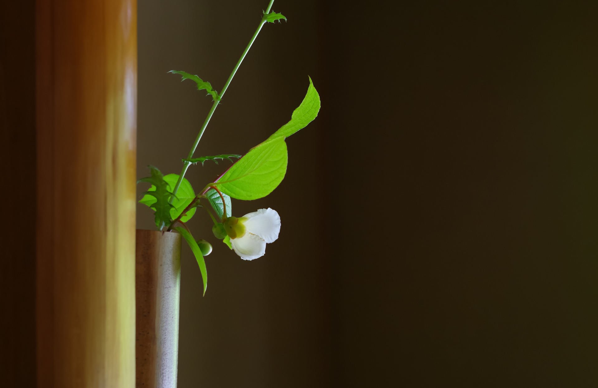 メインビジュアル1